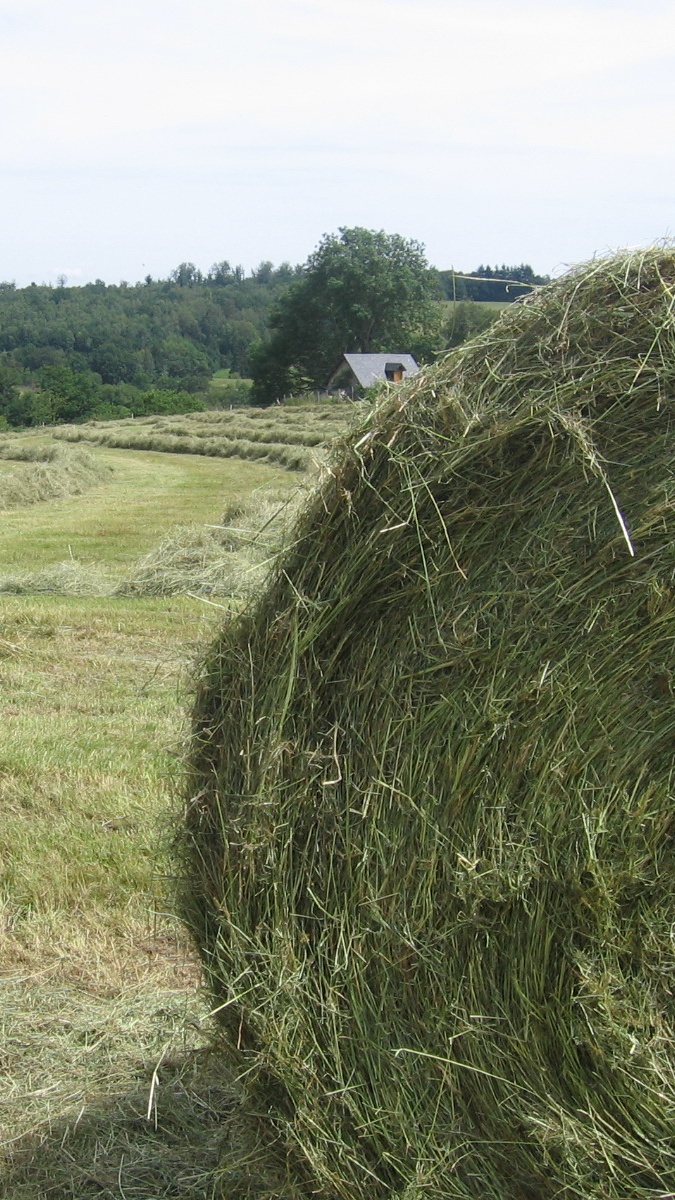 Agriculture Biologique